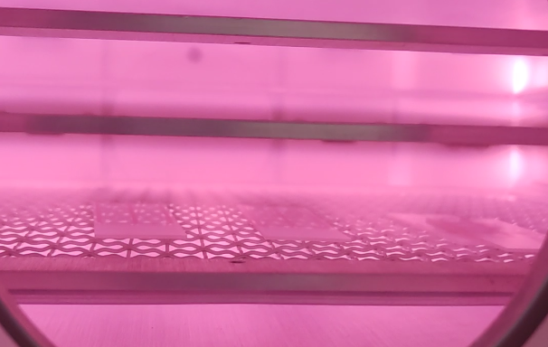 轉瓶秋葵视频IOS在线免费观看機