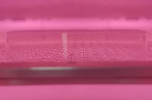 非標秋葵视频IOS在线免费观看機