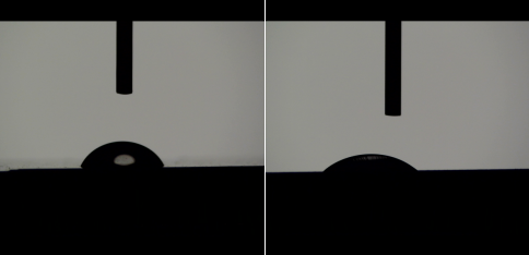 秋葵视频IOS在线免费观看處理後變化